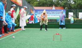 门球比赛视频,激情碰撞，智慧对决